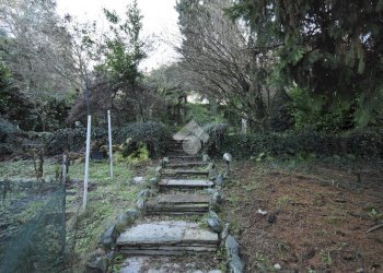 Casa indipendente Strada del Lauro, Torino (zona Borgo Po) - foto 14