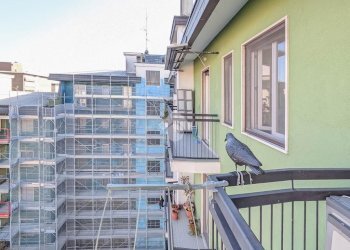 Trilocale Via Dante Alighieri, San Donato Milanese - foto 20