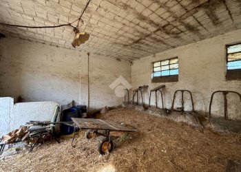 Casa semi indipendente Via Tre Marzo 1966, Montanaro - foto 7