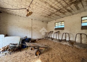 Casa semi indipendente Via Tre Marzo 1966, Montanaro - foto 36