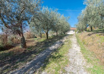 Foto 6 - Independent house Contrada Pallisco, Arpino - photo 6