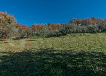 Foto 46 - Independent house Contrada Pallisco, Arpino - photo 46