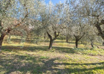 Foto 47 - Independent house Contrada Pallisco, Arpino - photo 47