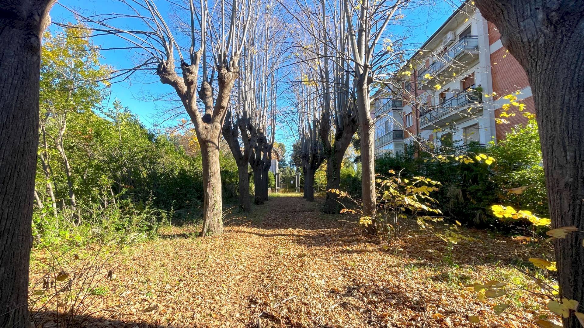 Foto 3 - Stabile - Palazzo Frazione Marino del Tronto, Ascoli Piceno - foto 3