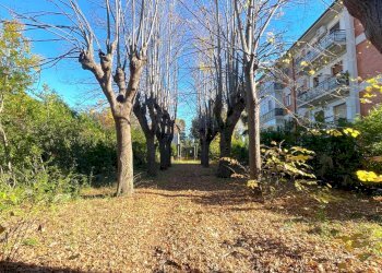 Foto 3 - Stabile - Palazzo Frazione Marino del Tronto, Ascoli Piceno - foto 3