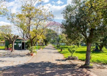 Giardino - Locale Commerciale Via San Marco
 
19, Calatabiano - foto 3