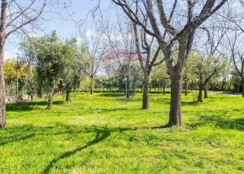 Giardino - Locale Commerciale Via San Marco
 
19, Calatabiano - foto 49