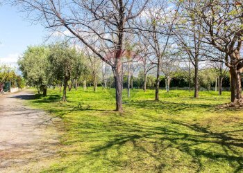 Giardino - Locale Commerciale Via San Marco
 
19, Calatabiano - foto 57