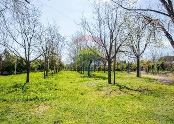 Giardino - Locale Commerciale Via San Marco
 
19, Calatabiano - foto 59