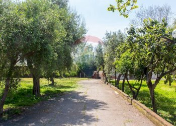 Giardino - Locale Commerciale Via San Marco
 
19, Calatabiano - foto 62