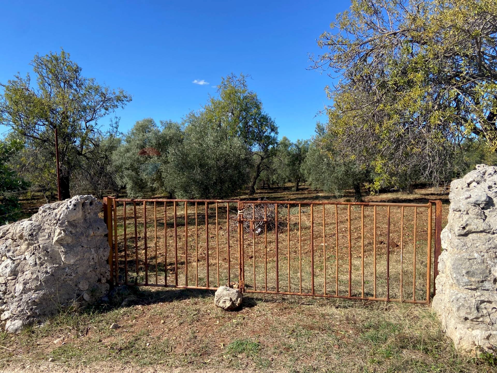 Giardino - Terreno agricolo Strada Scala di Gemmazza
 
snc, Canicattini Bagni - foto 1
