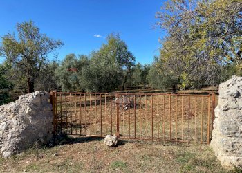 Giardino - Terreno agricolo Strada Scala di Gemmazza
 
snc, Canicattini Bagni - foto 1