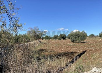Vista delle montagne - Terreno agricolo Strada Scala di Gemmazza
 
snc, Canicattini Bagni - foto 3