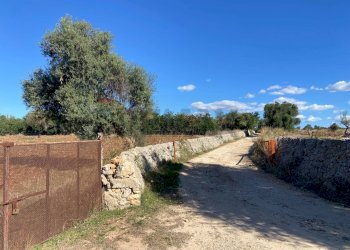 Giardino - Terreno agricolo Strada Scala di Gemmazza
 
snc, Canicattini Bagni - foto 4