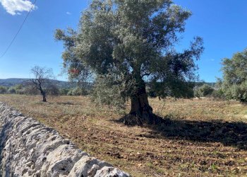 Vista delle montagne - Terreno agricolo Strada Scala di Gemmazza
 
snc, Canicattini Bagni - foto 5