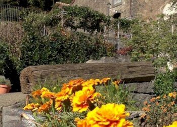 Giardino - Agriturismo via  Andronico, Mascali - foto 4