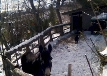 Terrazza - Agriturismo via  Andronico, Mascali - foto 24