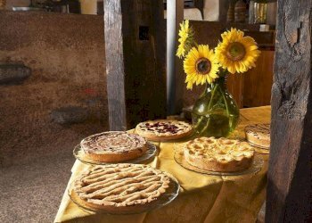 Dettagli - Agriturismo via  Andronico, Mascali - foto 38