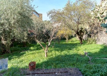 Giardino - Casa indipendente Via Palermo
 
643, Catania - foto 49