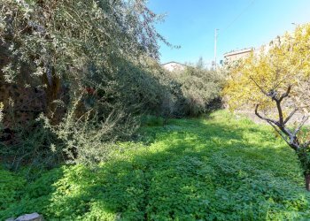 Giardino - Casa indipendente Via Palermo
 
643, Catania - foto 51