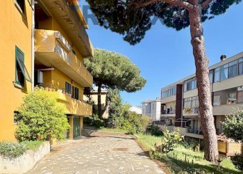 Corte box auto e giardino - Appartamento Piombino - foto 33