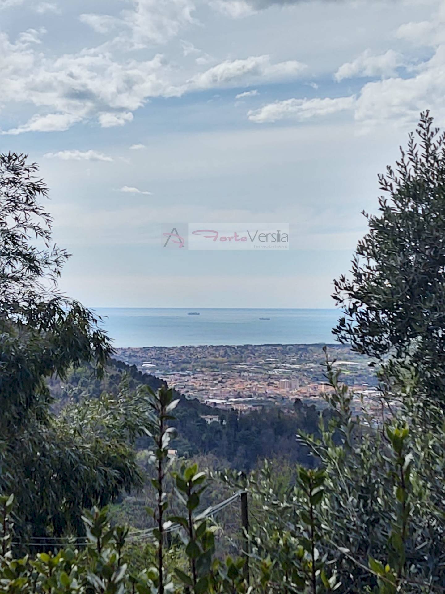 Foto 1 - Casa semi indipendente Pietrasanta - foto 1