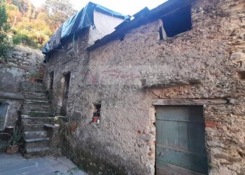 Foto 3 - Casa semi indipendente Pietrasanta - foto 3