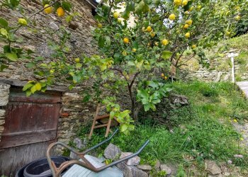 Foto 9 - Casa semi indipendente Pietrasanta - foto 9