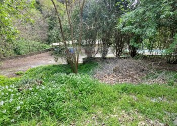 Foto 10 - Casa semi indipendente Pietrasanta - foto 10