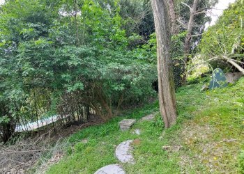 Foto 11 - Casa semi indipendente Pietrasanta - foto 11