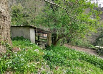 Foto 12 - Casa semi indipendente Pietrasanta - foto 12