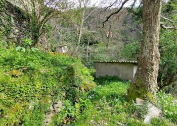 Foto 16 - Casa semi indipendente Pietrasanta - foto 16