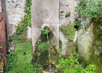 Foto 17 - Casa semi indipendente Pietrasanta - foto 17