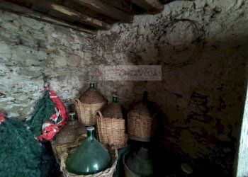 Foto 22 - Casa semi indipendente Pietrasanta - foto 22