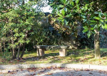 Giardino - Quadrilocale Via Giuseppe Taverna
 
86, Piacenza - foto 58