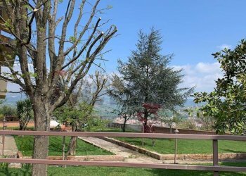 Giardino - Casa semi indipendente via località pezzepagliara
 
11, Torrecuso - foto 6