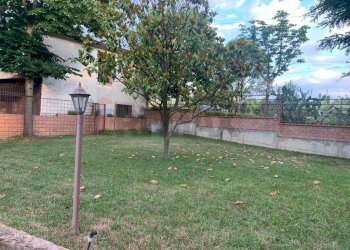 Giardino - Casa semi indipendente via località pezzepagliara
 
11, Torrecuso - foto 8