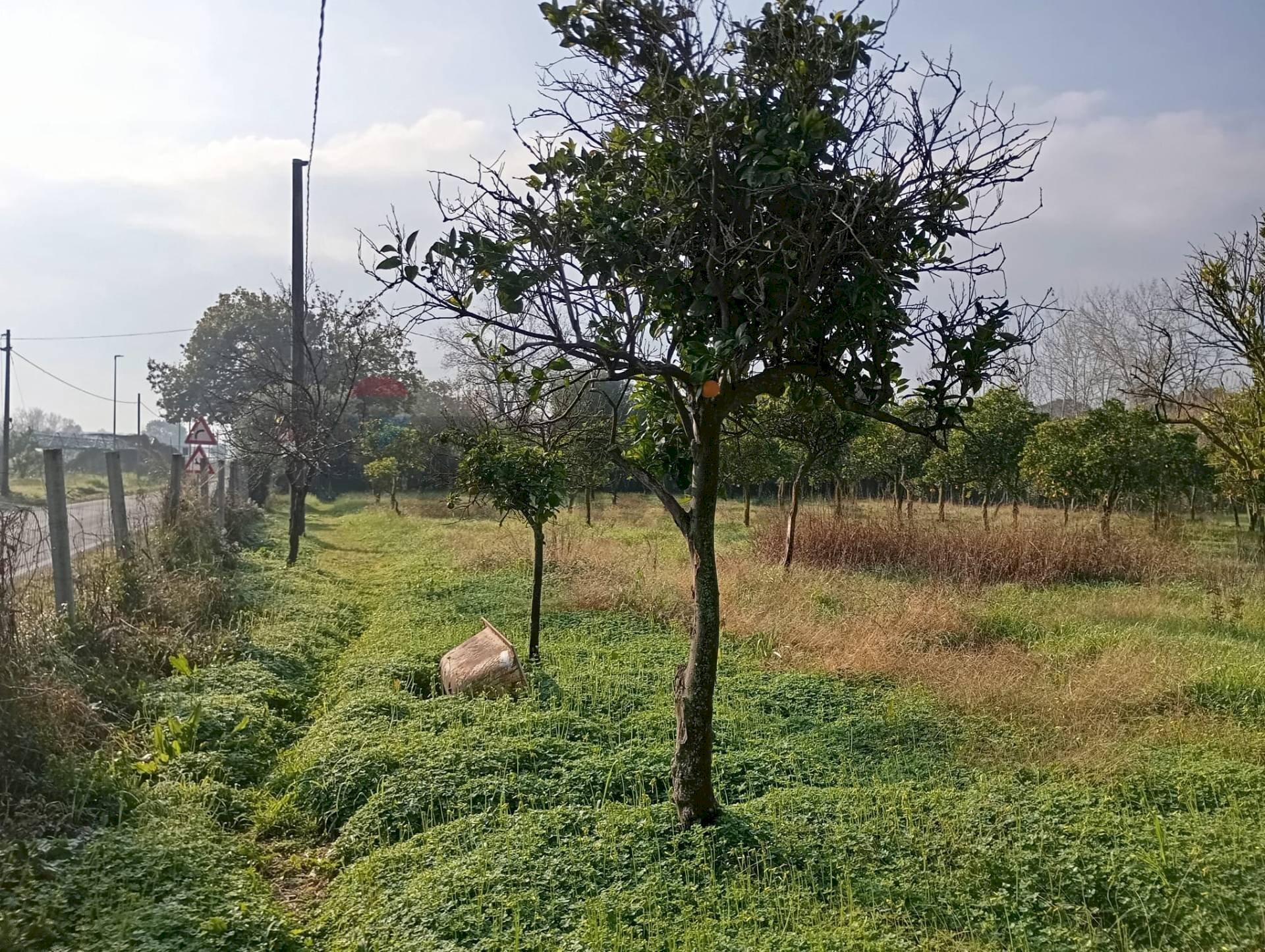 Giardino - Commercial Premises Via Appia, Minturno - photo 2