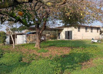 Giardino - Locale Commerciale Via Appia, Minturno - foto 3