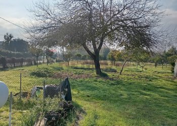 Giardino - Locale Commerciale Via Appia, Minturno - foto 7