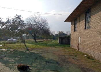 Giardino - Locale Commerciale Via Appia, Minturno - foto 8