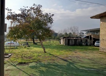 Giardino - Locale Commerciale Via Appia, Minturno - foto 9