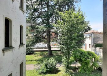 Giardino - Villa Via Capovilla
 
43, Pieve di Soligo - photo 5