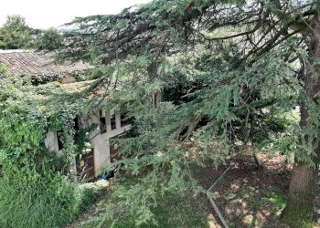 Giardino - Villa Via Capovilla
 
43, Pieve di Soligo - photo 29