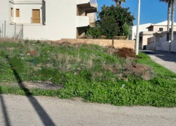 Giardino - Terreno agricolo Via Fonte Diana, Vittoria - foto 2