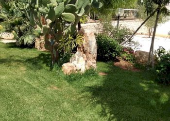 Giardino - Villa C.da Trippatore, Scicli - foto 11