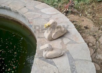 Dettagli - Villa C.da Trippatore, Scicli - foto 17