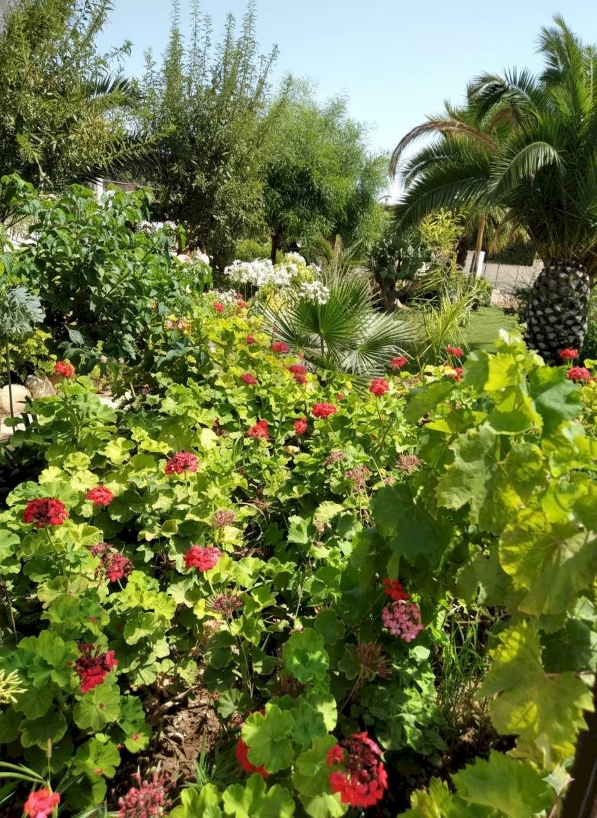 Giardino - Agricultural land C.da Trippatore, Scicli - photo 1