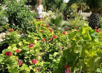 Giardino - Agricultural land C.da Trippatore, Scicli - photo 5
