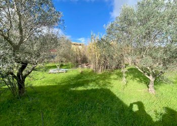 Giardino - Villa viale santa caterina
 
26, Piana degli Albanesi - foto 10